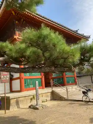 葛井寺(大阪府)