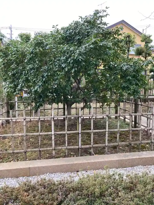 星谷寺(神奈川県)