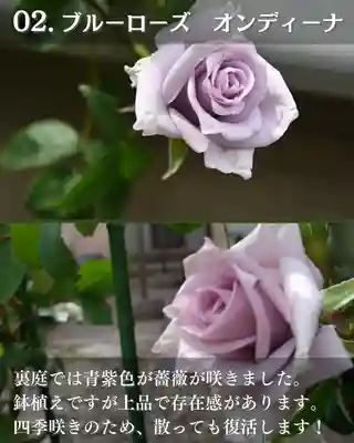 宝光寺(北海道)