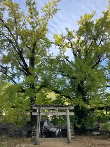 岩部八幡神社(香川県)