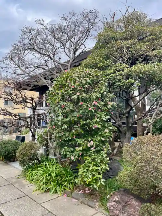 寳蓮寺の{uncategorized: "未分類", other: "その他", undefined: "問題あり", building: "その他建物", grave: "お墓", sacred_gate: "鳥居", guardian: "狛犬", statue: "像", buddha: "仏像", history: "歴史", nature: "自然", garden: "庭園", animal: "動物", pagoda: "塔", temizu: "手水舎", mountain_gate: "山門・神門", sanctuary: "本殿・本堂", subordinate: "末社・摂社", art: "芸術", scenery: "景色", jizo: "地蔵", ema: "絵馬", goshuin: "御朱印", omikuji: "おみくじ", items: "授与品その他", amulet: "お守り", goshuincho: "御朱印帳", eats: "食事", festival: "お祭り", votive_dance: "神楽", shichigosan: "七五三参", wedding: "結婚式", experience: "体験その他", initially: "初詣", around: "周辺", anti_infection: "感染症対策"}