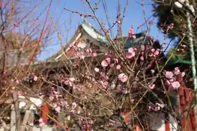 亀戸天神社のその他建物