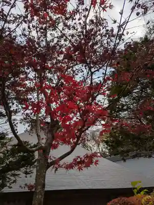 東円寺(山梨県)
