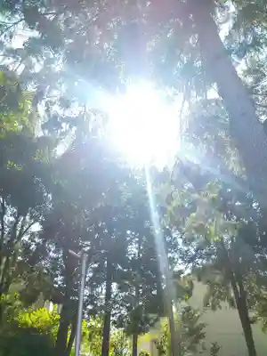 春日神社の自然
