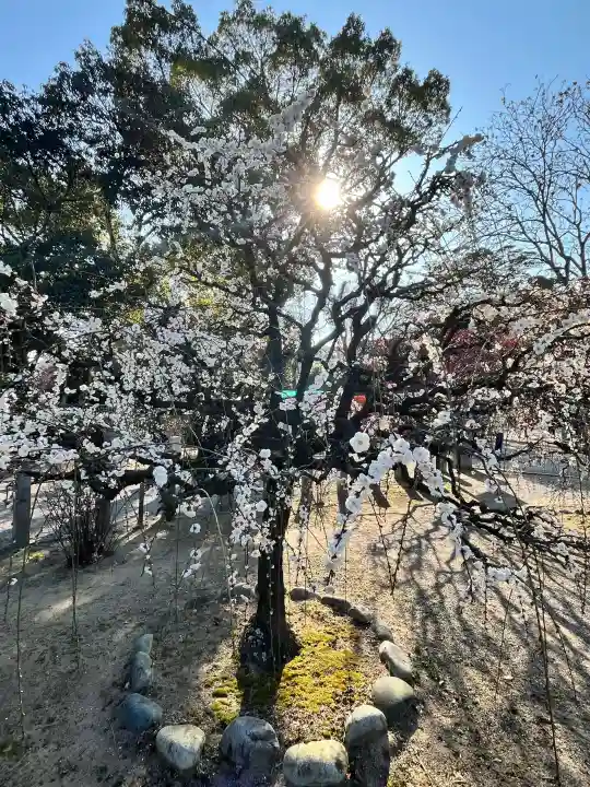 結城神社の{uncategorized: "未分類", other: "その他", undefined: "問題あり", building: "その他建物", grave: "お墓", sacred_gate: "鳥居", guardian: "狛犬", statue: "像", buddha: "仏像", history: "歴史", nature: "自然", garden: "庭園", animal: "動物", pagoda: "塔", temizu: "手水舎", mountain_gate: "山門・神門", sanctuary: "本殿・本堂", subordinate: "末社・摂社", art: "芸術", scenery: "景色", jizo: "地蔵", ema: "絵馬", goshuin: "御朱印", omikuji: "おみくじ", items: "授与品その他", amulet: "お守り", goshuincho: "御朱印帳", eats: "食事", festival: "お祭り", votive_dance: "神楽", shichigosan: "七五三参", wedding: "結婚式", experience: "体験その他", initially: "初詣", around: "周辺", anti_infection: "感染症対策"}