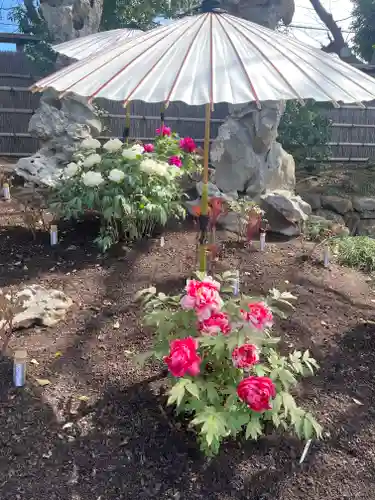 鶴岡八幡宮の庭園