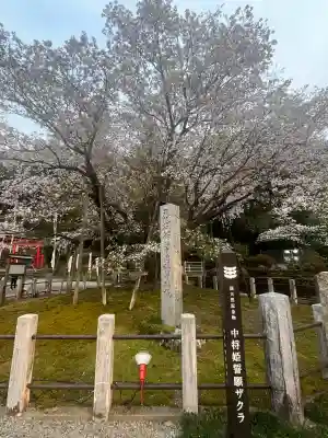 願成寺の{uncategorized: "未分類", other: "その他", undefined: "問題あり", building: "その他建物", grave: "お墓", sacred_gate: "鳥居", guardian: "狛犬", statue: "像", buddha: "仏像", history: "歴史", nature: "自然", garden: "庭園", animal: "動物", pagoda: "塔", temizu: "手水舎", mountain_gate: "山門・神門", sanctuary: "本殿・本堂", subordinate: "末社・摂社", art: "芸術", scenery: "景色", jizo: "地蔵", ema: "絵馬", goshuin: "御朱印", omikuji: "おみくじ", items: "授与品その他", amulet: "お守り", goshuincho: "御朱印帳", eats: "食事", festival: "お祭り", votive_dance: "神楽", shichigosan: "七五三参", wedding: "結婚式", experience: "体験その他", initially: "初詣", around: "周辺", anti_infection: "感染症対策"}