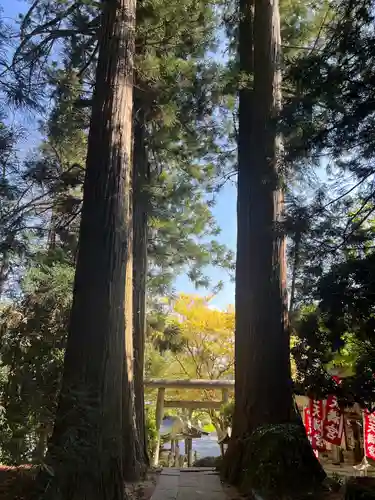 鹿島大神宮の御朱印