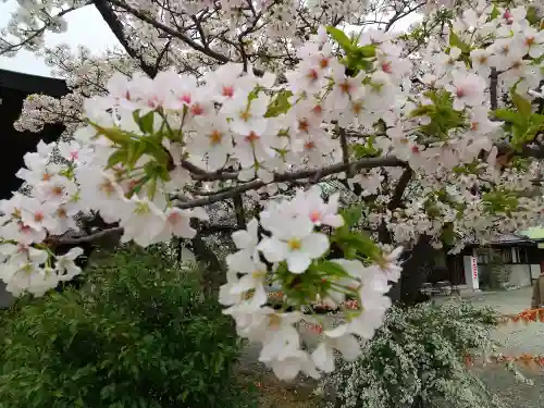 豊國神社(大阪府)