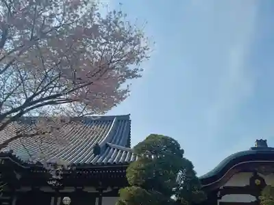 高幡不動尊　金剛寺(東京都)
