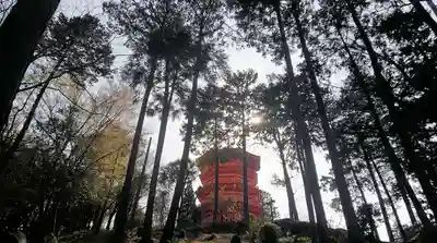 金乗院放光寺のその他建物