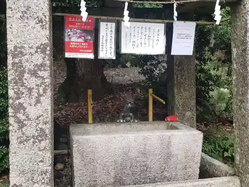 日吉大社の手水舎