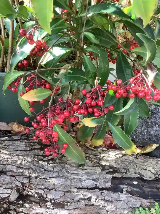 三輪神社の自然