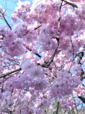 熊野神社(福井県)