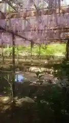 秋葉神社の自然