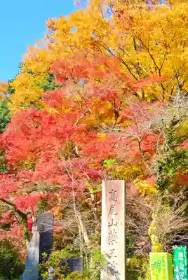 高尾山薬王院(東京都)