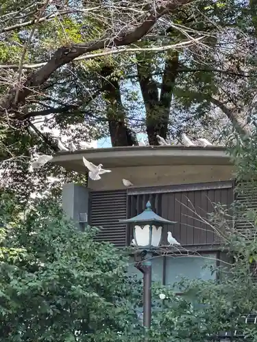 靖國神社(東京都)