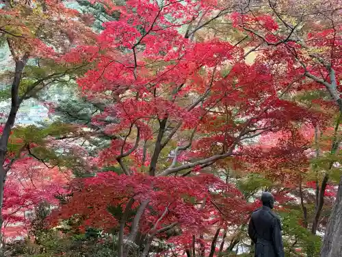秩父御嶽神社(埼玉県)
