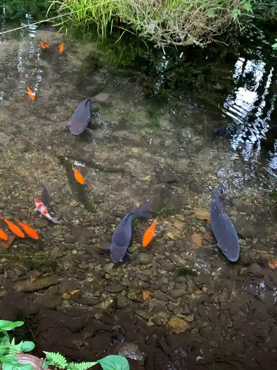 鼬幣稲荷神社(岩手県)