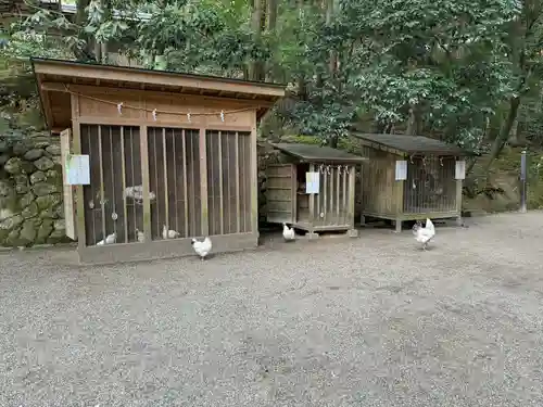 石上神宮(奈良県)
