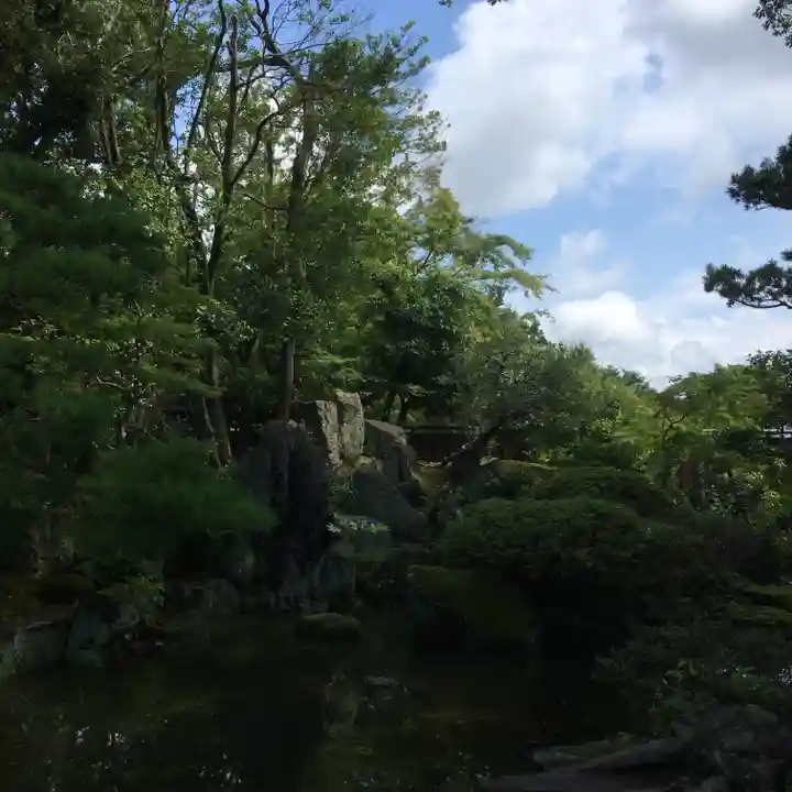 大通寺(長浜御坊)の庭園