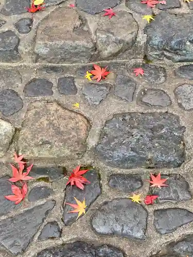 華厳寺（鈴虫寺）の自然