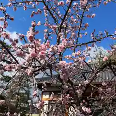 松本山　地福禅寺の庭園