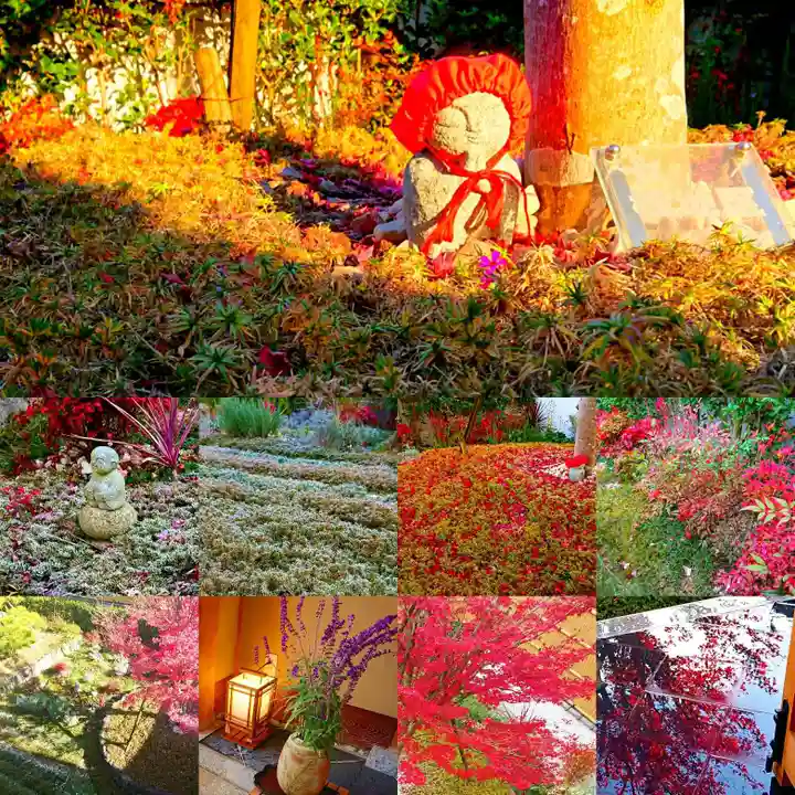 寿量山 速成寺の自然