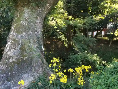 武蔵寺(福岡県)