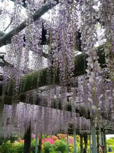 箭弓稲荷神社の庭園