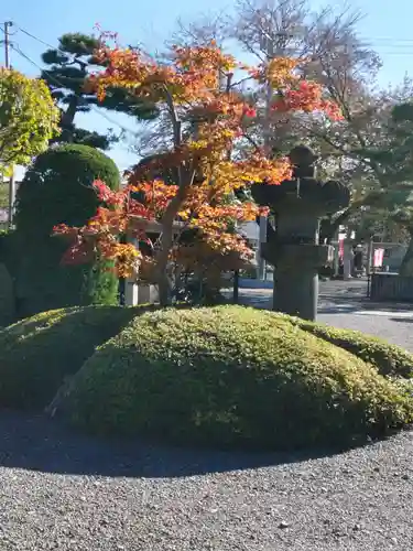 大光寺の庭園