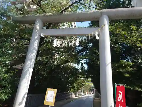 松戸神社の鳥居