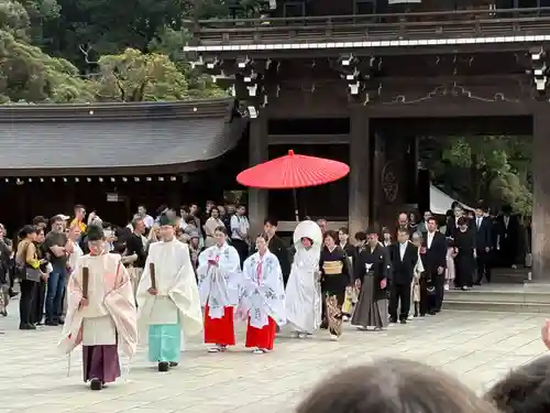 明治神宮(東京都)