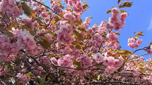 石崎地主海神社(北海道)