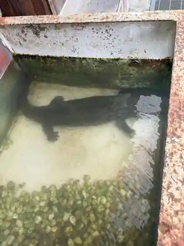 瑠璃山薬師堂(広島県)