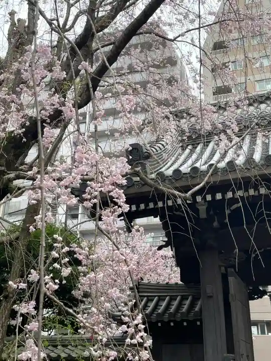 吉祥寺(東京都)