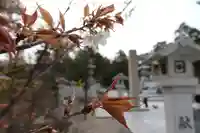 廣田神社の自然