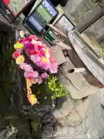 深大寺(東京都)