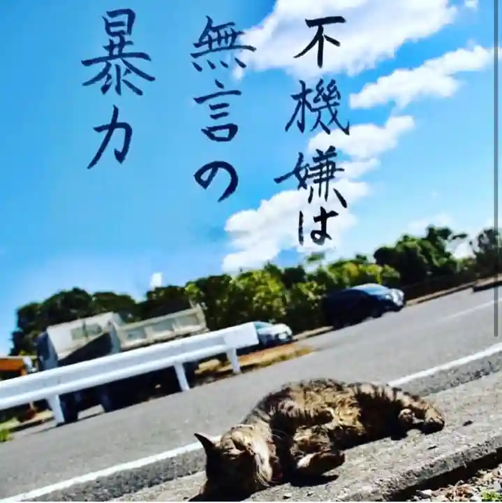 専念寺(大阪府)