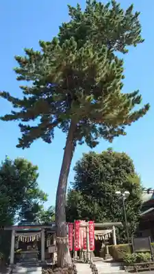 中野沼袋氷川神社の末社・摂社