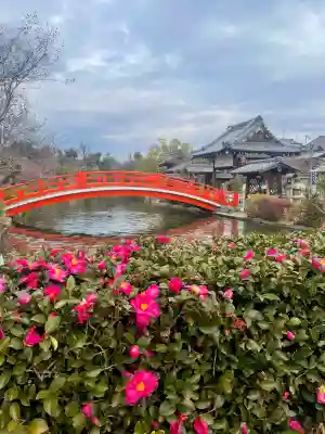 神泉苑の{uncategorized: "未分類", other: "その他", undefined: "問題あり", building: "その他建物", grave: "お墓", sacred_gate: "鳥居", guardian: "狛犬", statue: "像", buddha: "仏像", history: "歴史", nature: "自然", garden: "庭園", animal: "動物", pagoda: "塔", temizu: "手水舎", mountain_gate: "山門・神門", sanctuary: "本殿・本堂", subordinate: "末社・摂社", art: "芸術", scenery: "景色", jizo: "地蔵", ema: "絵馬", goshuin: "御朱印", omikuji: "おみくじ", items: "授与品その他", amulet: "お守り", goshuincho: "御朱印帳", eats: "食事", festival: "お祭り", votive_dance: "神楽", shichigosan: "七五三参", wedding: "結婚式", experience: "体験その他", initially: "初詣", around: "周辺", anti_infection: "感染症対策"}