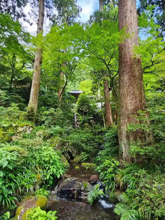 最乗寺(道了尊)(神奈川県)