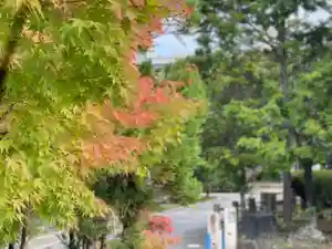 伊勢の国 四天王寺の自然(2022年10月13日(木) 11時37分18秒投稿)