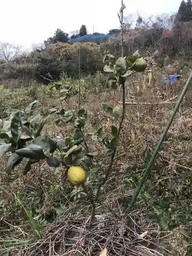 美加登神社の自然