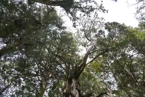 玉置神社(奈良県)