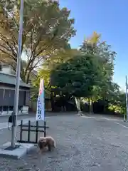 日吉神社(神奈川県)