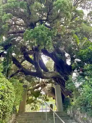 城願寺(神奈川県)