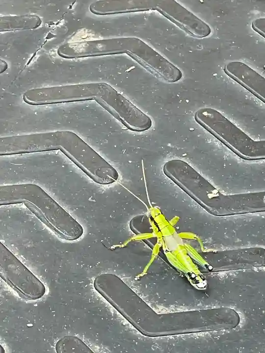 由仁神社(北海道)