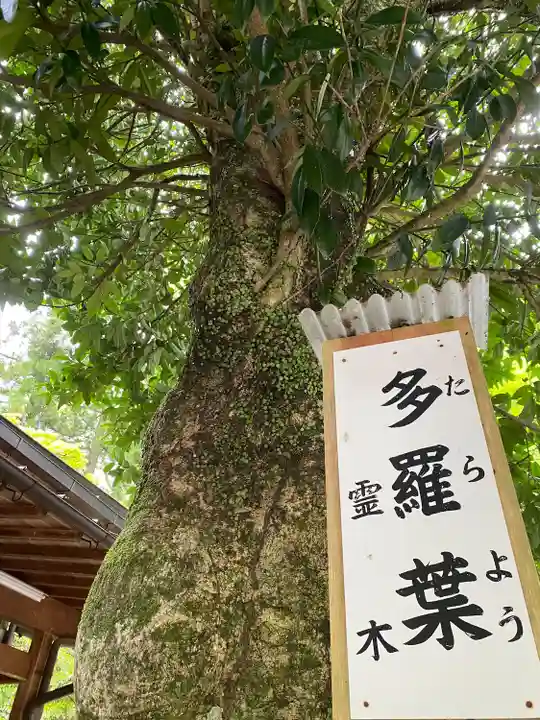 丹生川上神社(下社)(奈良県)