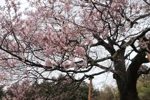 長屋神社の自然